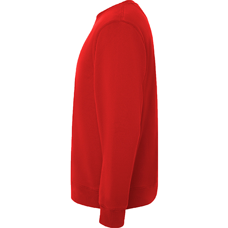 Sudadera unisex Roly BATIAN