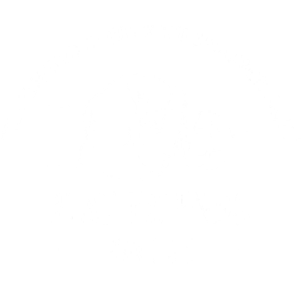 Camiseta para el día del padre diseño Best Friends