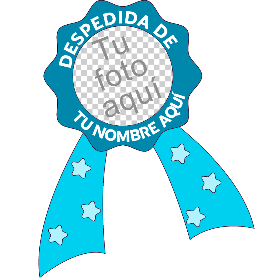 Camiseta despedida de soltero personalizable: Galardón