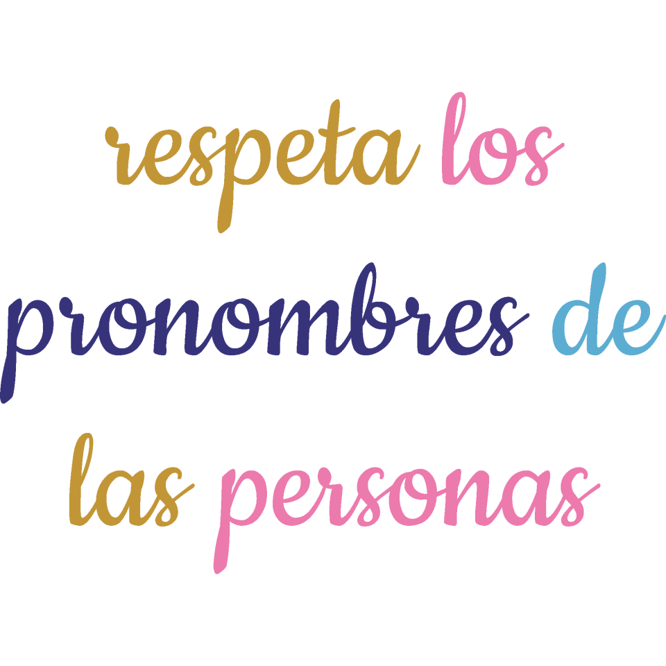 Camiseta hombre para el orgullo LGBTIQA+ diseño Respeta