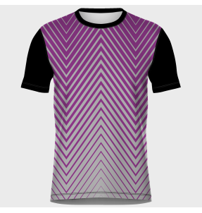 Camiseta para el orgullo LGBTIQA+ diseño Bicolor