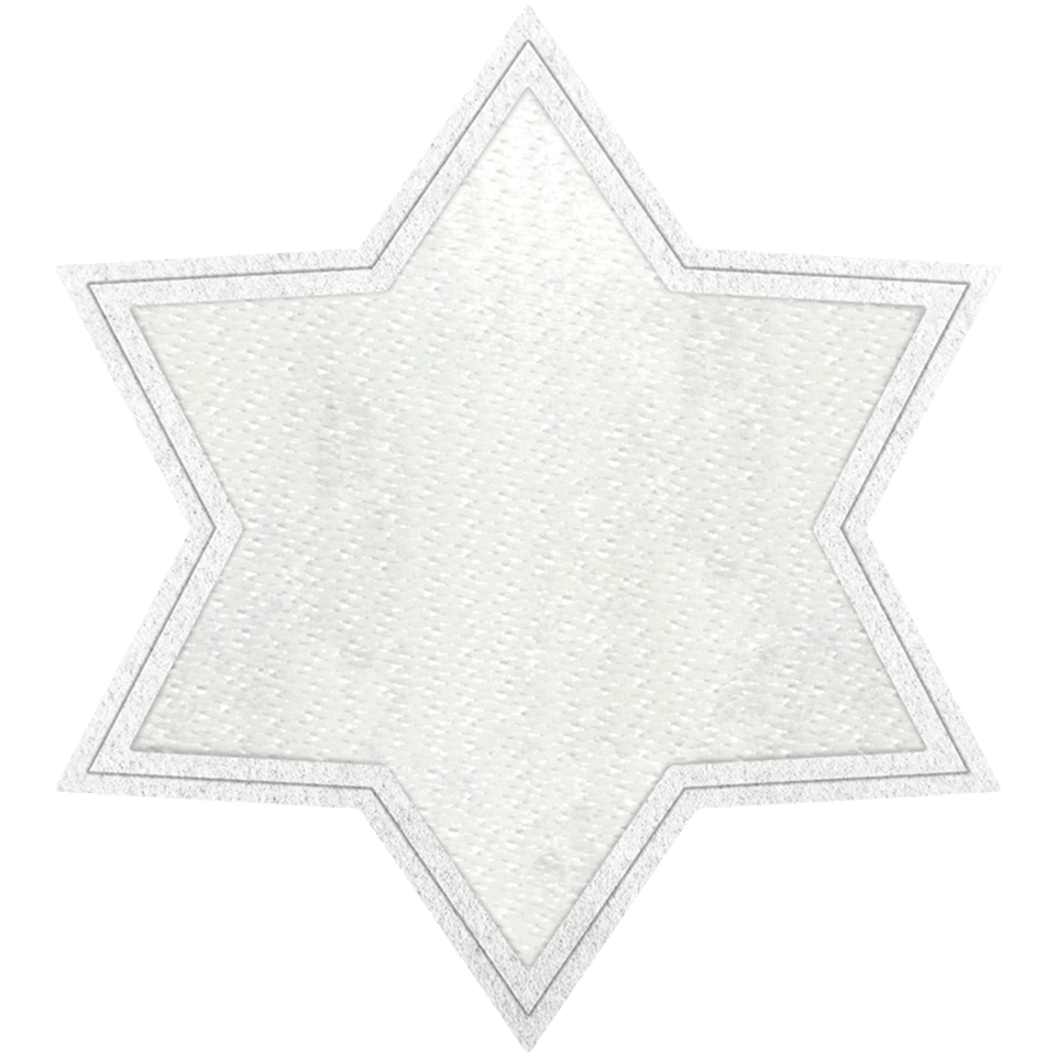 Parche Personalizable STICK con FLOCK Forma Estrella 6 Puntas