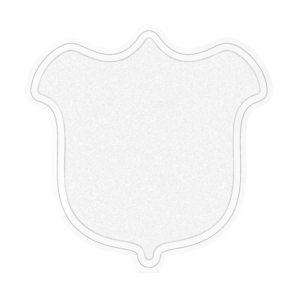 Parche Personalizado Fiberplus DTF Eco Forma de Tulipán