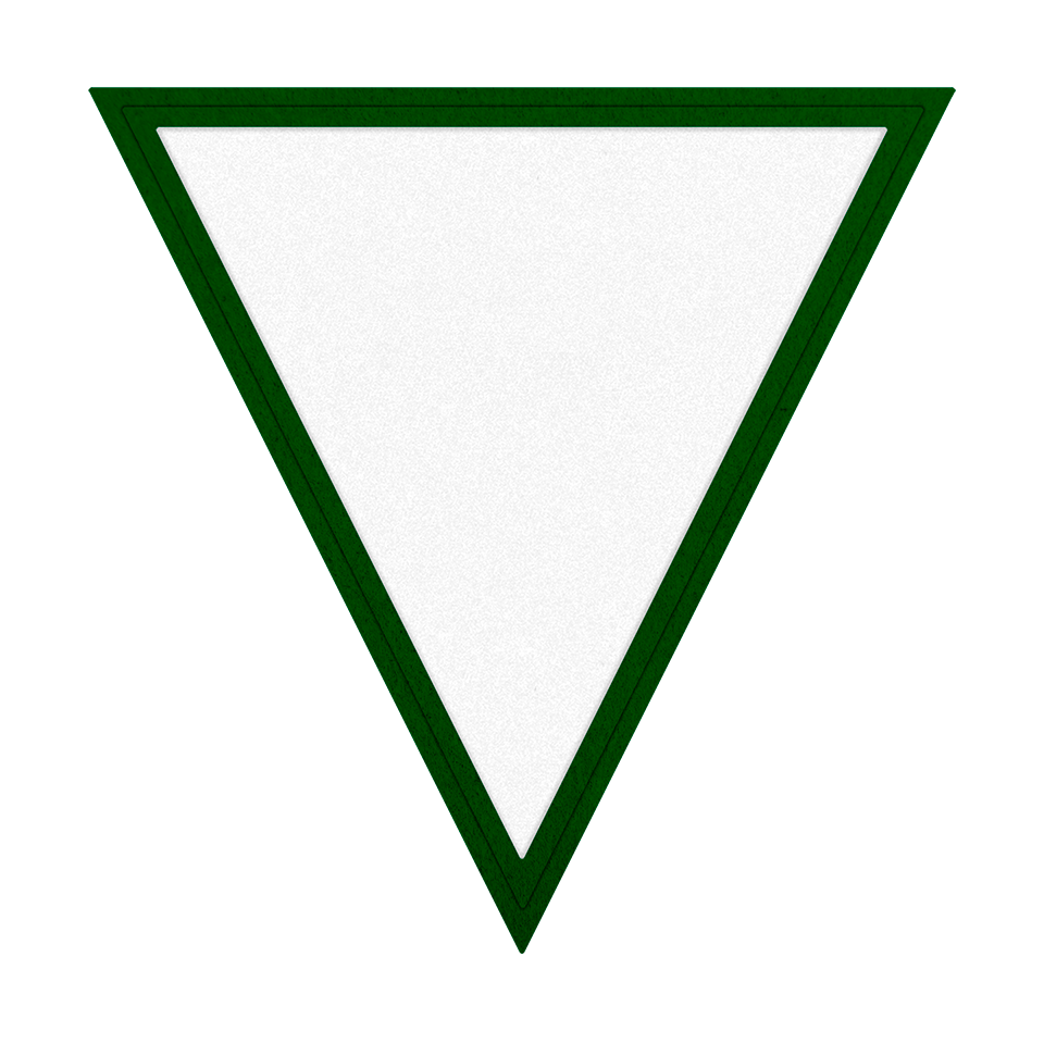 Parche VELUR Acabado Mate de Color con Flock Triangular