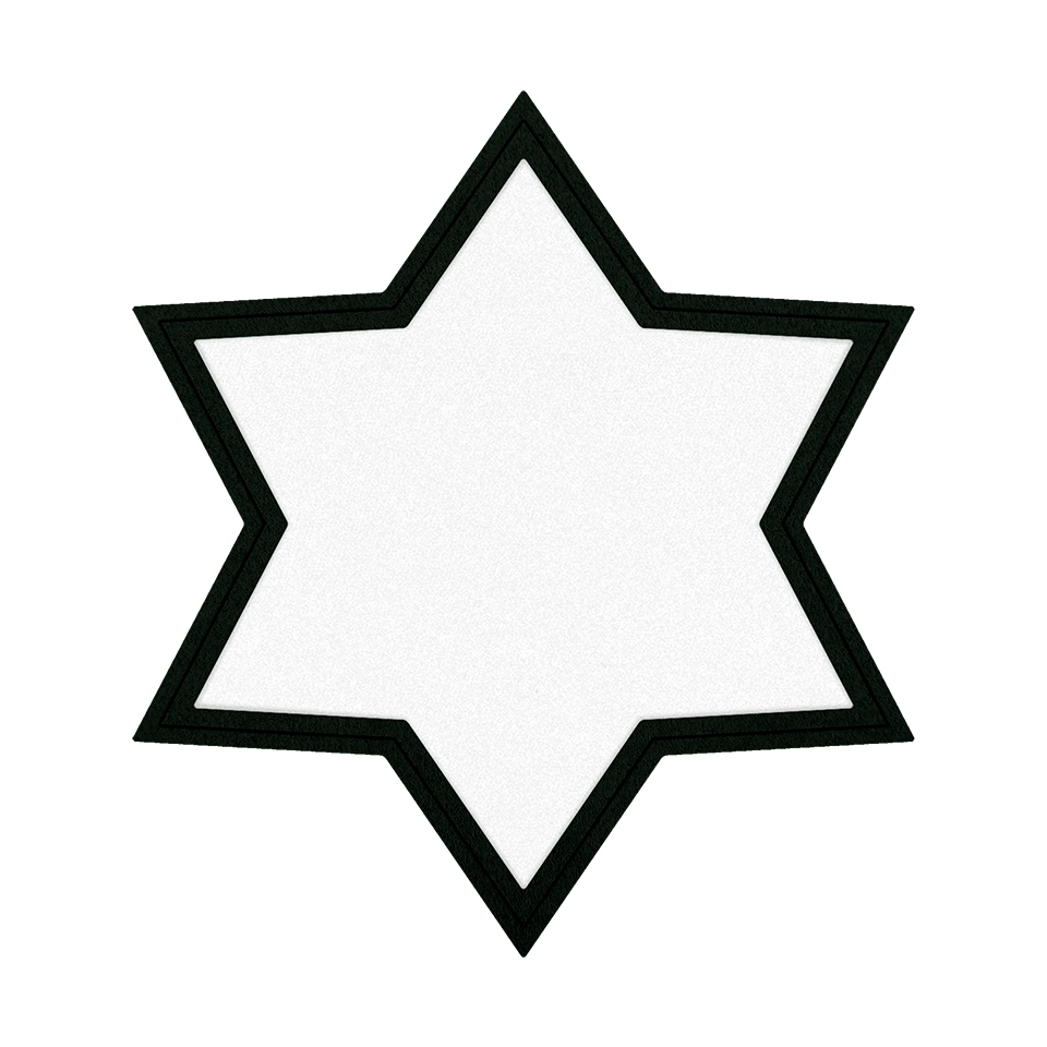 Parche VELUR con Flock Mate de Colores en Forma de Estrella