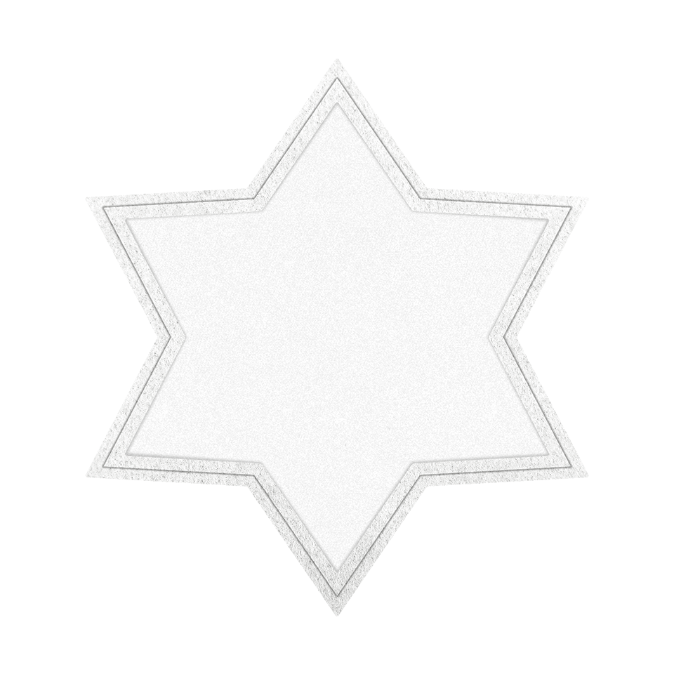 Parche VELUR con Flock Mate de Colores en Forma de Estrella