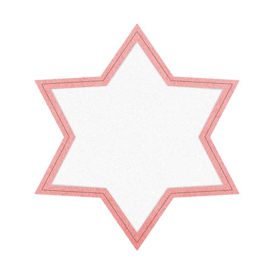 Parche VELUR con Flock Mate de Colores en Forma de Estrella