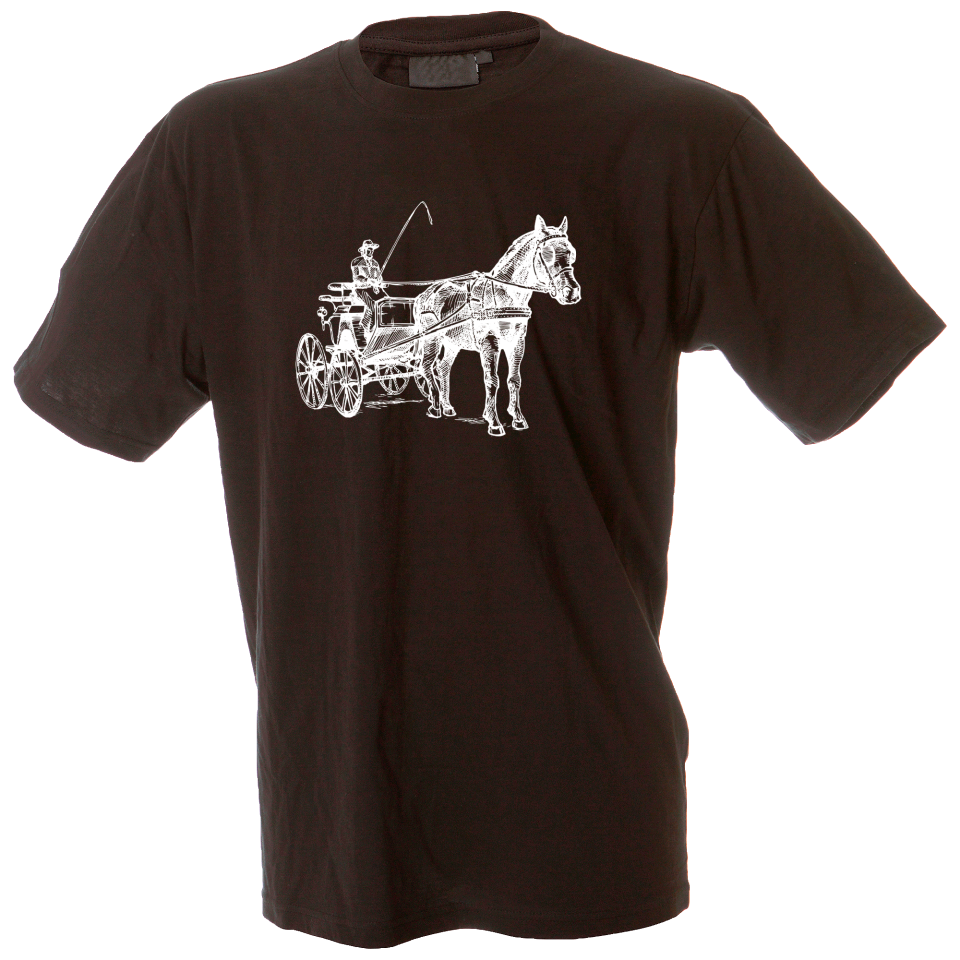 Camiseta hombre carroza