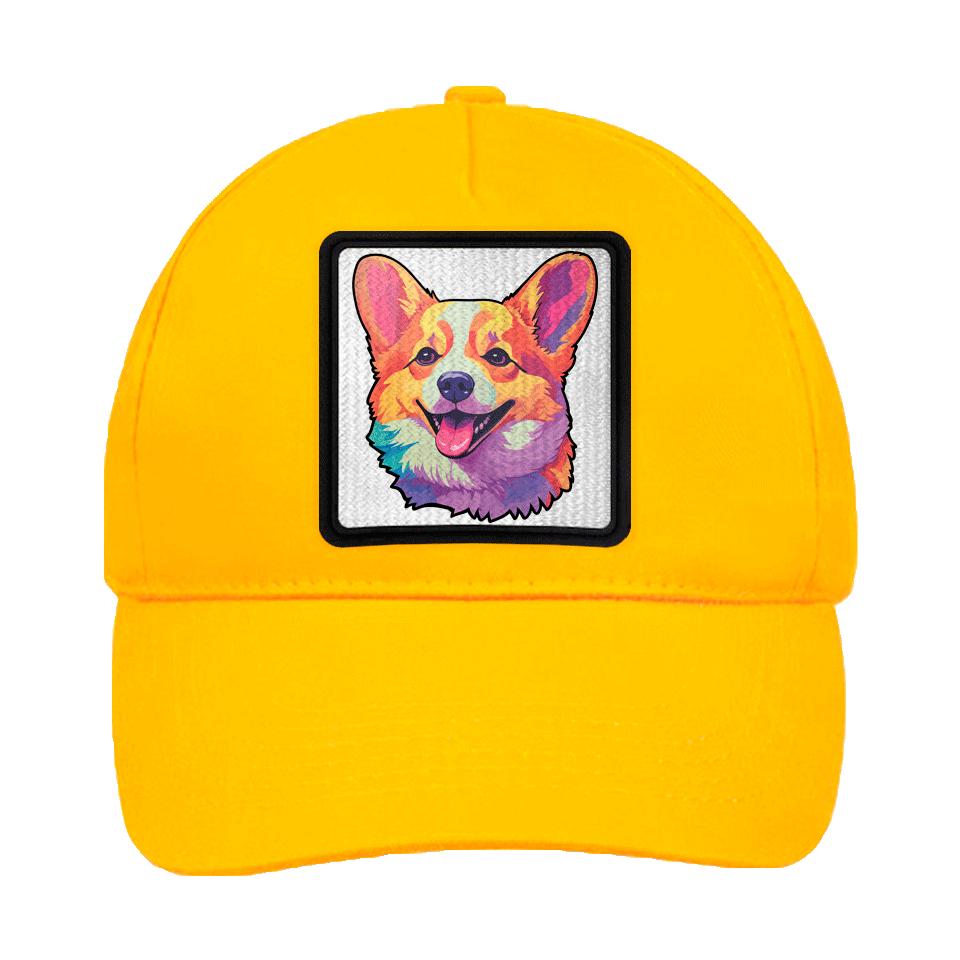 Gorra infantil con parche Corgi Colorido