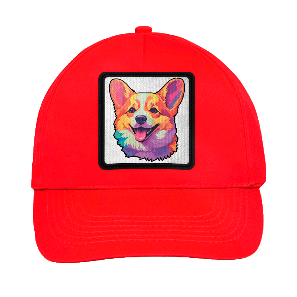 Gorra infantil con parche Corgi Colorido
