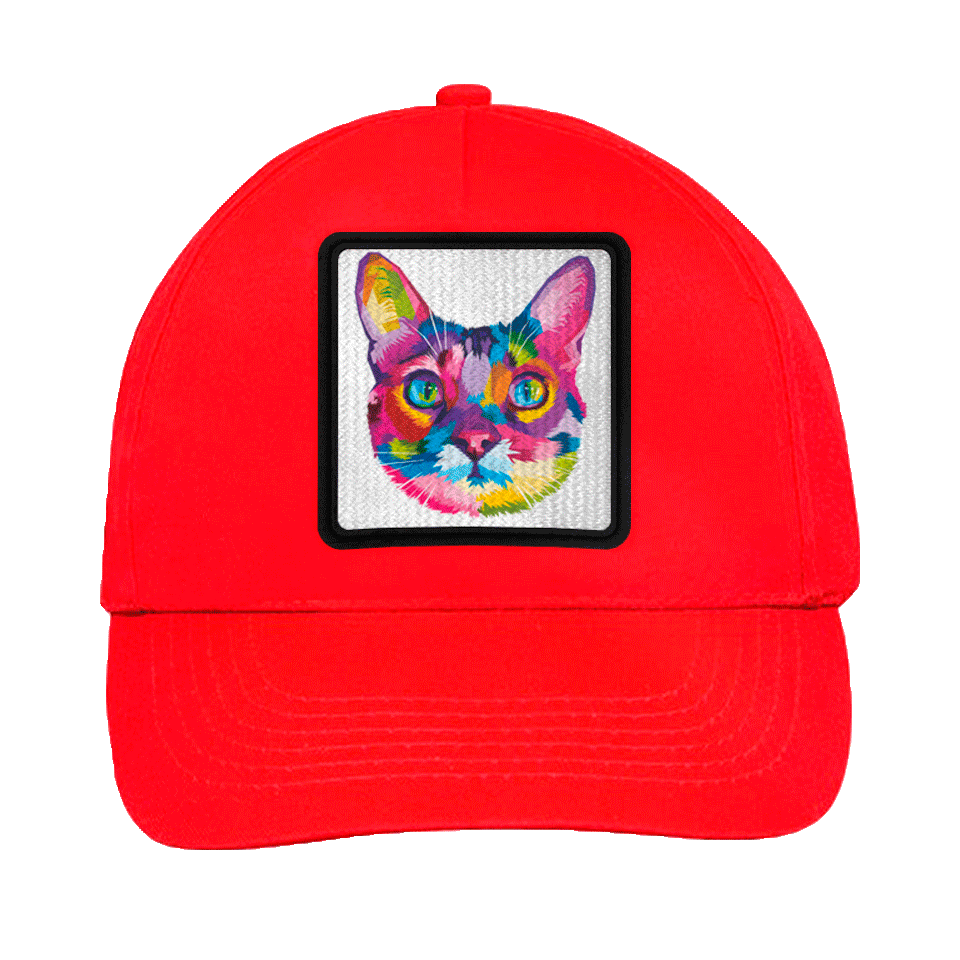 Gorra infantil con parche Cabeza Gato Multicolor