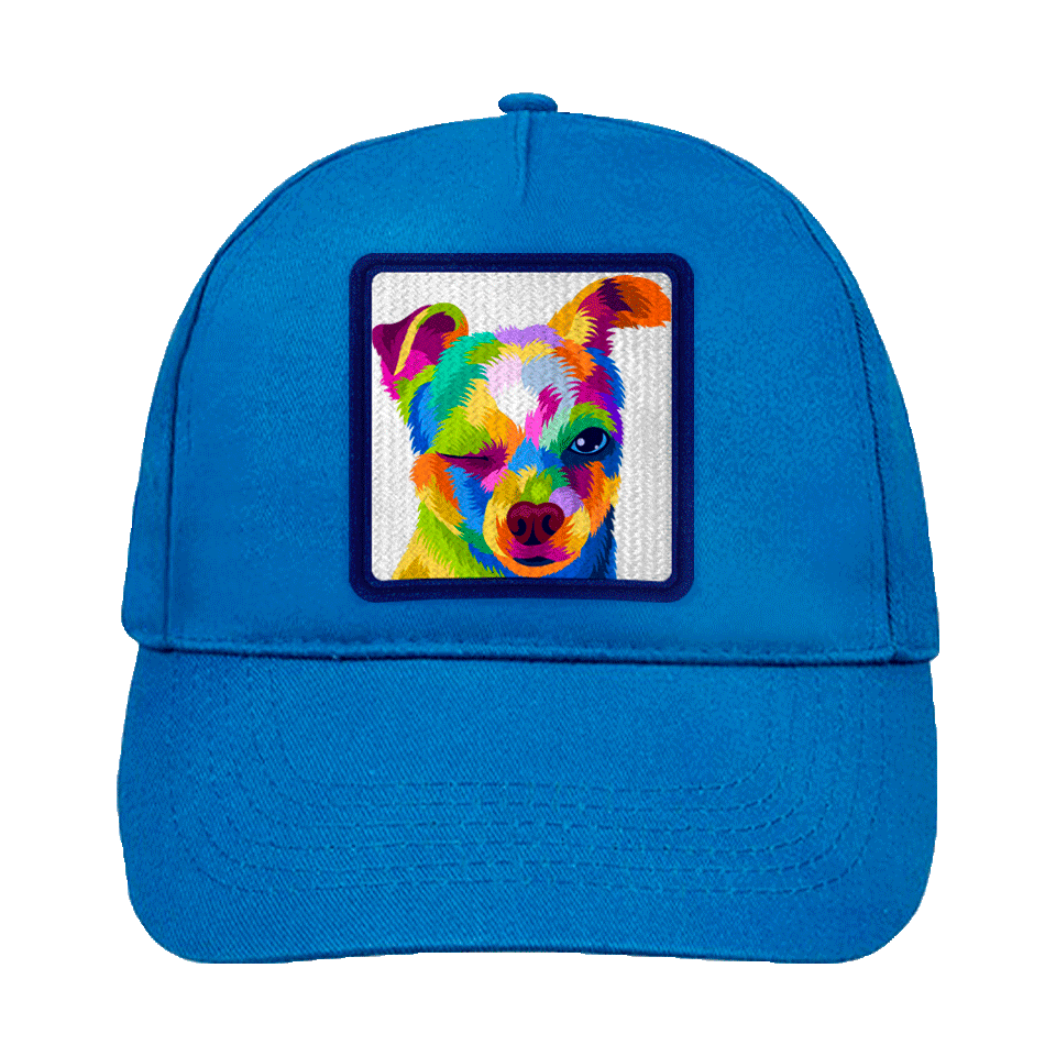 Gorra infantil con parche Perro Guiñando Un Ojo