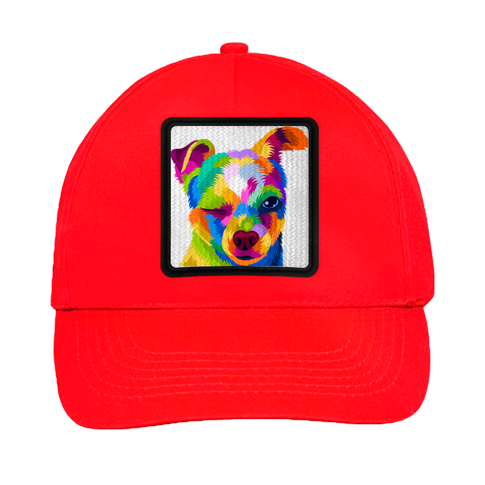 Gorra infantil con parche Perro Guiñando Un Ojo