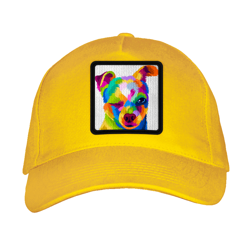 Gorra adulto con parche Perro Guiñando Un Ojo