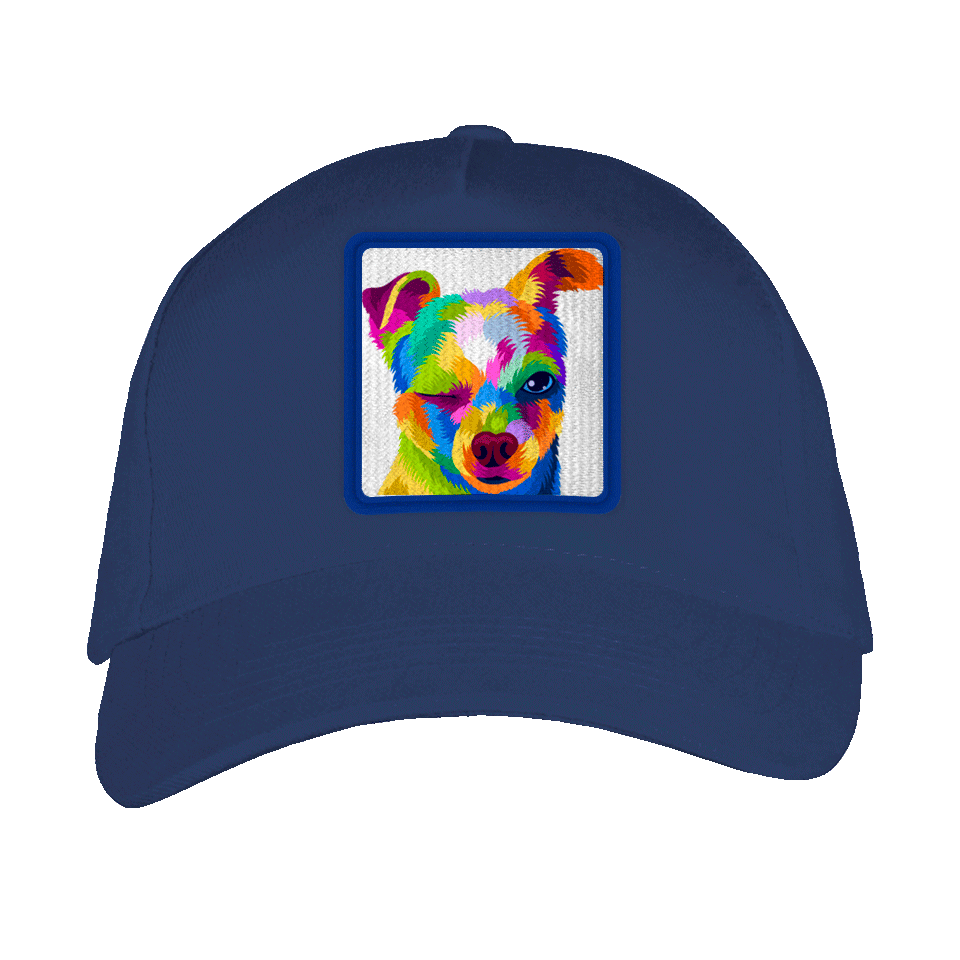 Gorra adulto con parche Perro Guiñando Un Ojo