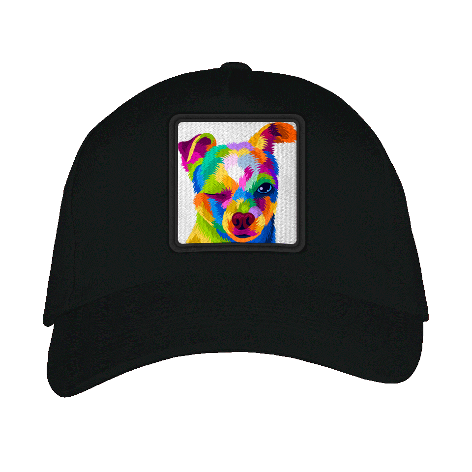 Gorra adulto con parche Perro Guiñando Un Ojo