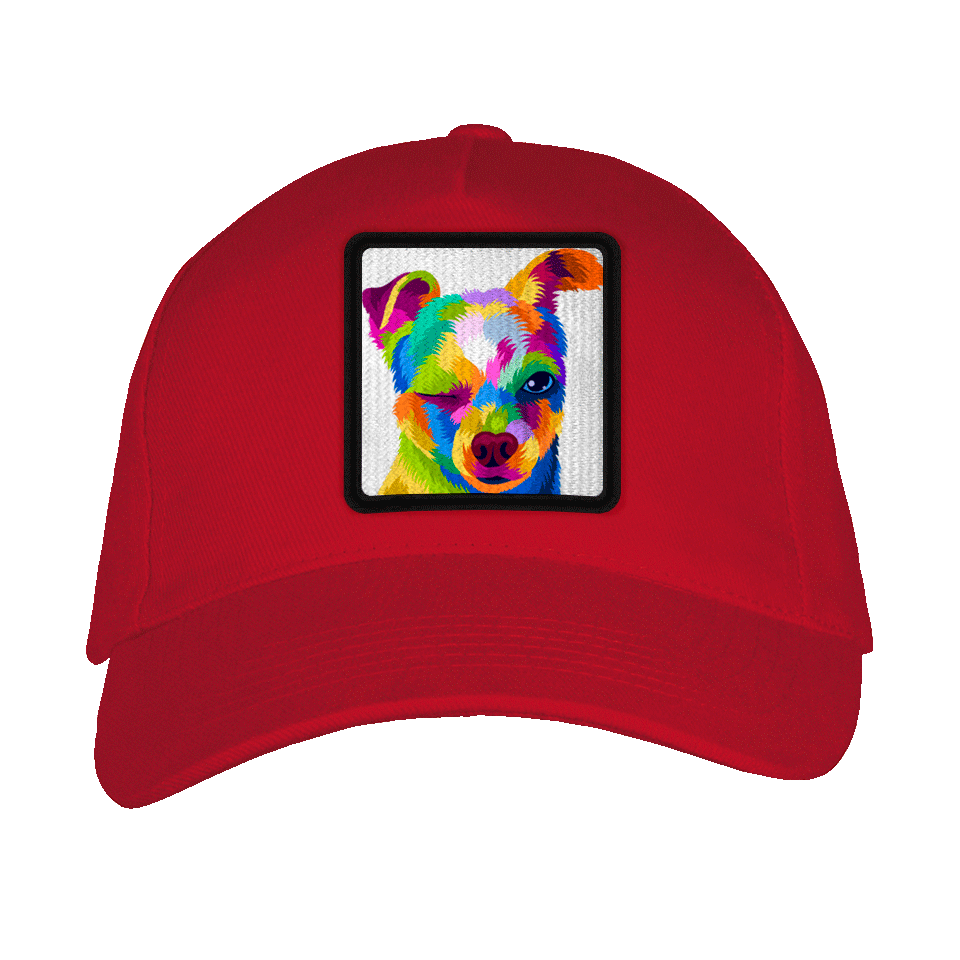 Gorra adulto con parche Perro Guiñando Un Ojo