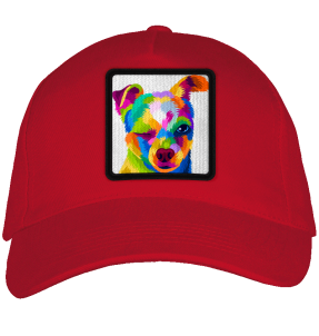 Gorra adulto con parche Perro Guiñando Un Ojo