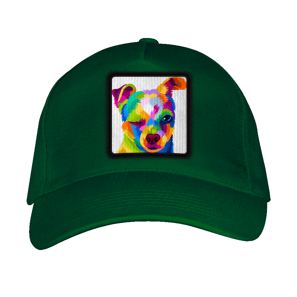 Gorra adulto con parche Perro Guiñando Un Ojo