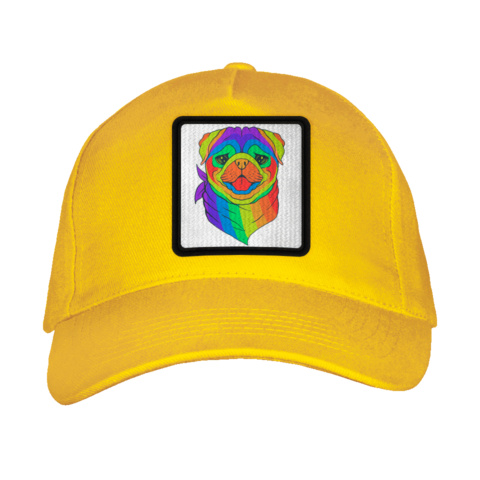 Gorra adulto con parche Pug Arcoíris