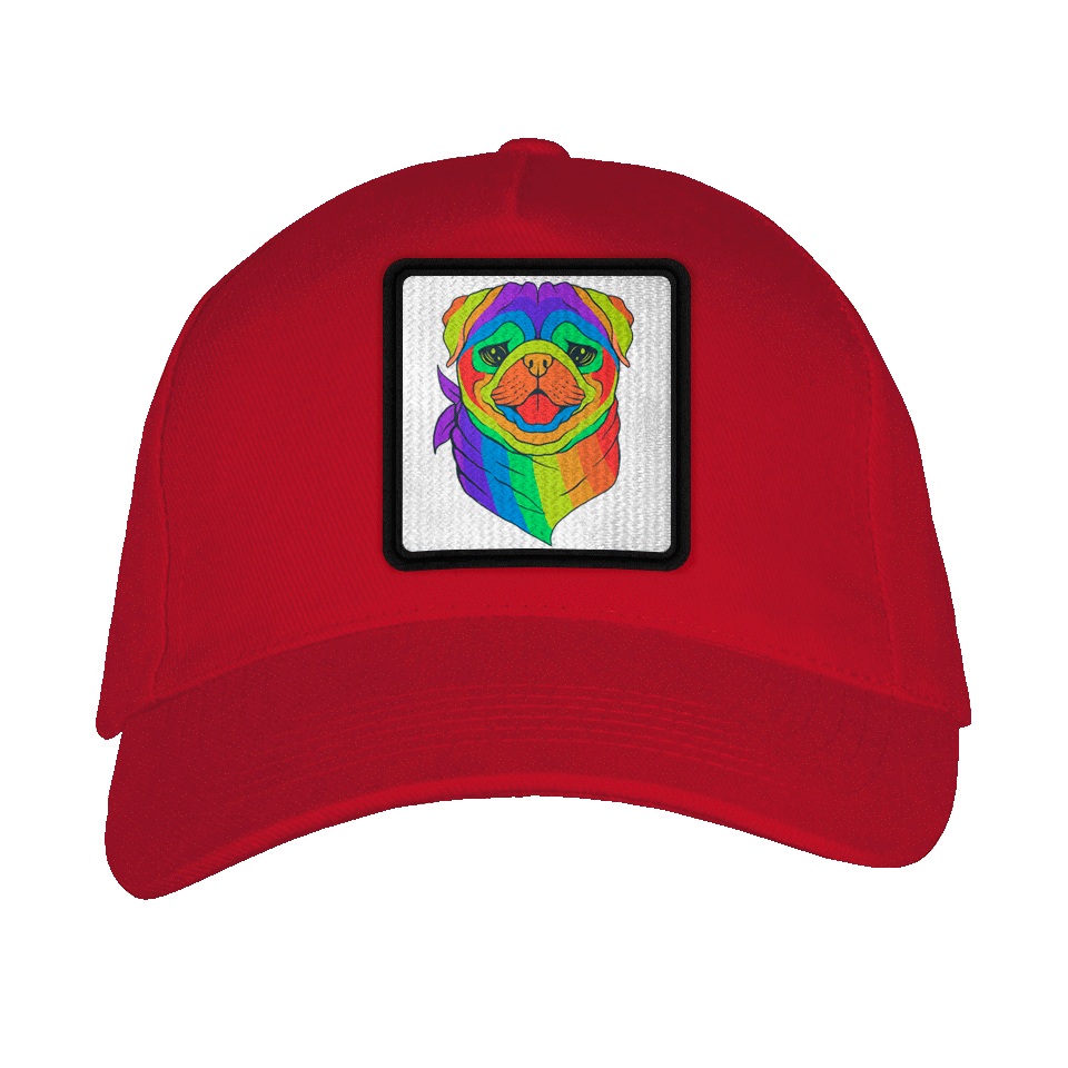Gorra adulto con parche Pug Arcoíris