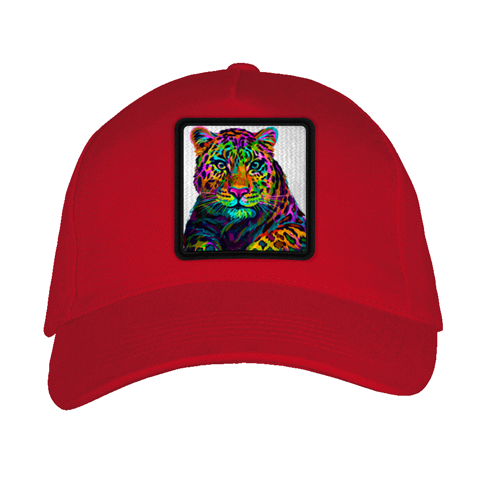 Gorra adulto con parche Guepardo Multicolor