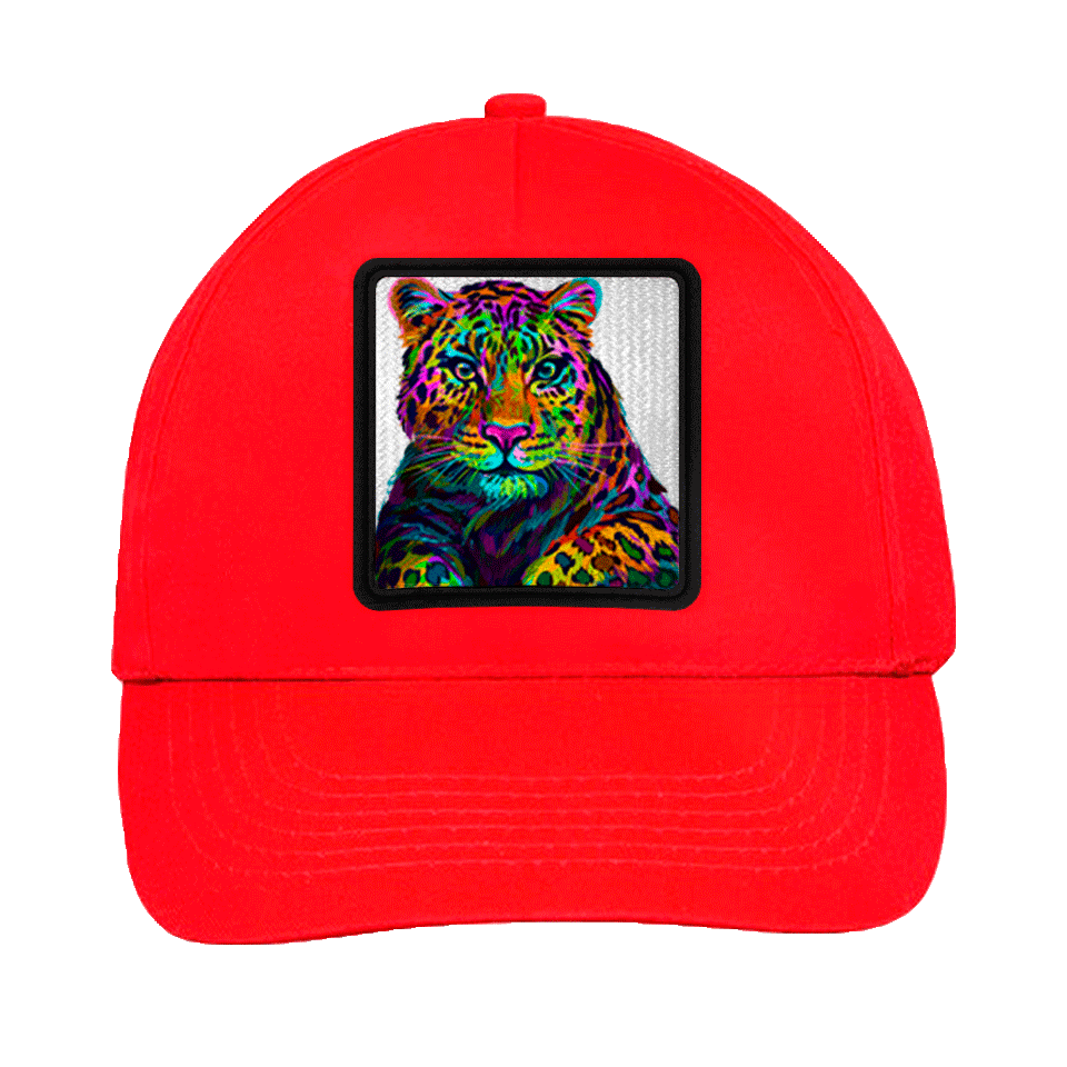Gorra infantil con parche Guepardo Multicolor