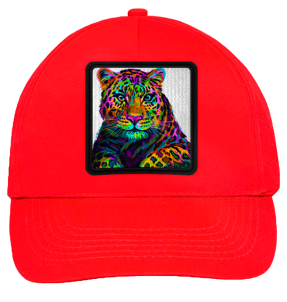 Gorra infantil con parche Guepardo Multicolor
