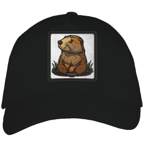 Gorra adulto con parche Castor