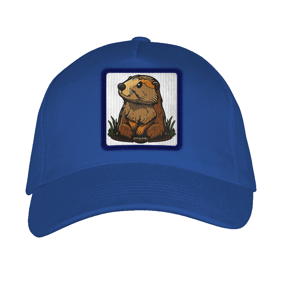 Gorra adulto con parche Castor