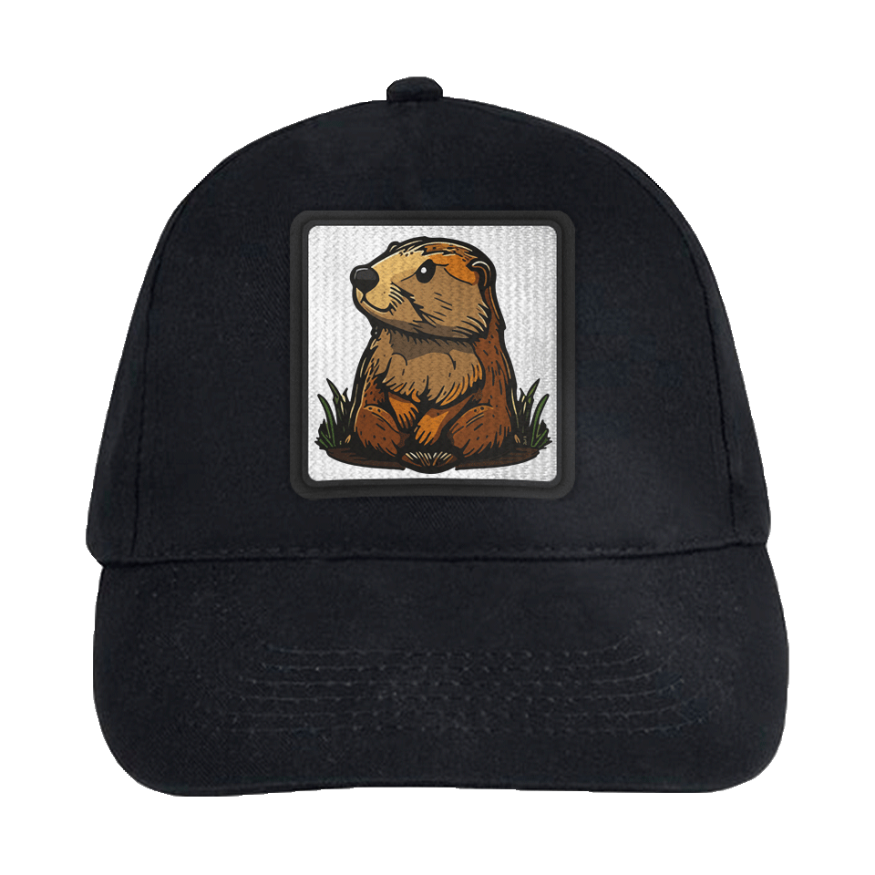 Gorra infantil con parche Castor
