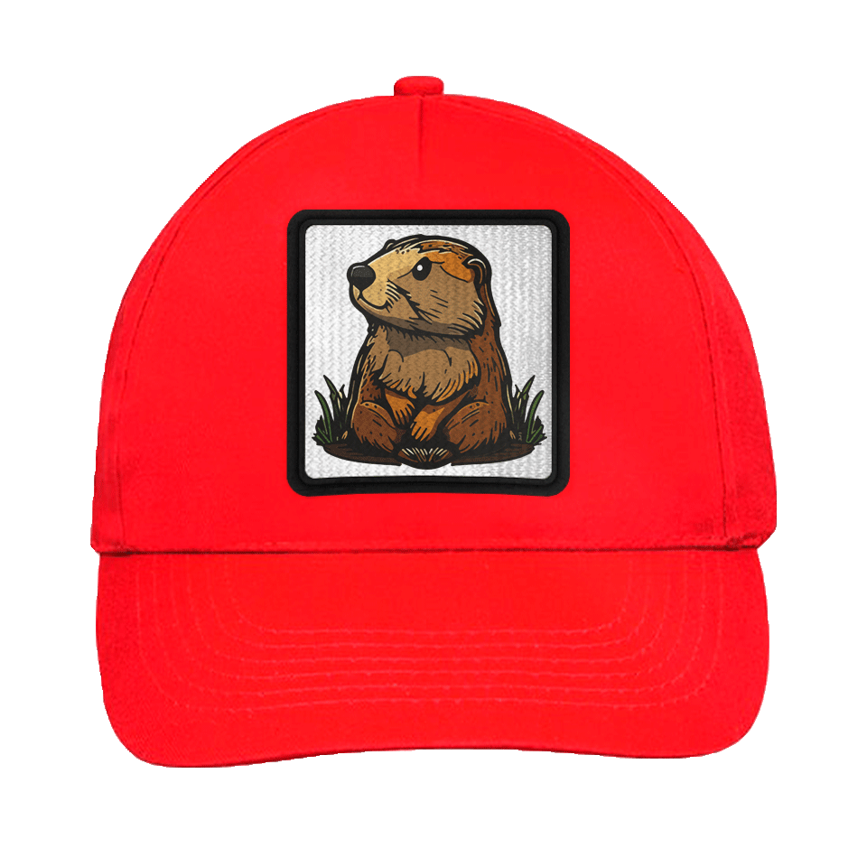 Gorra infantil con parche Castor