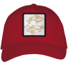 Gorra adulto con parche Constelación Piscis
