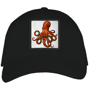 Gorra adulto con parche Pulpo