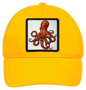 Gorra infantil con parche Pulpo