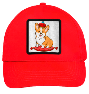 Gorra infantil con parche Rey Corgi