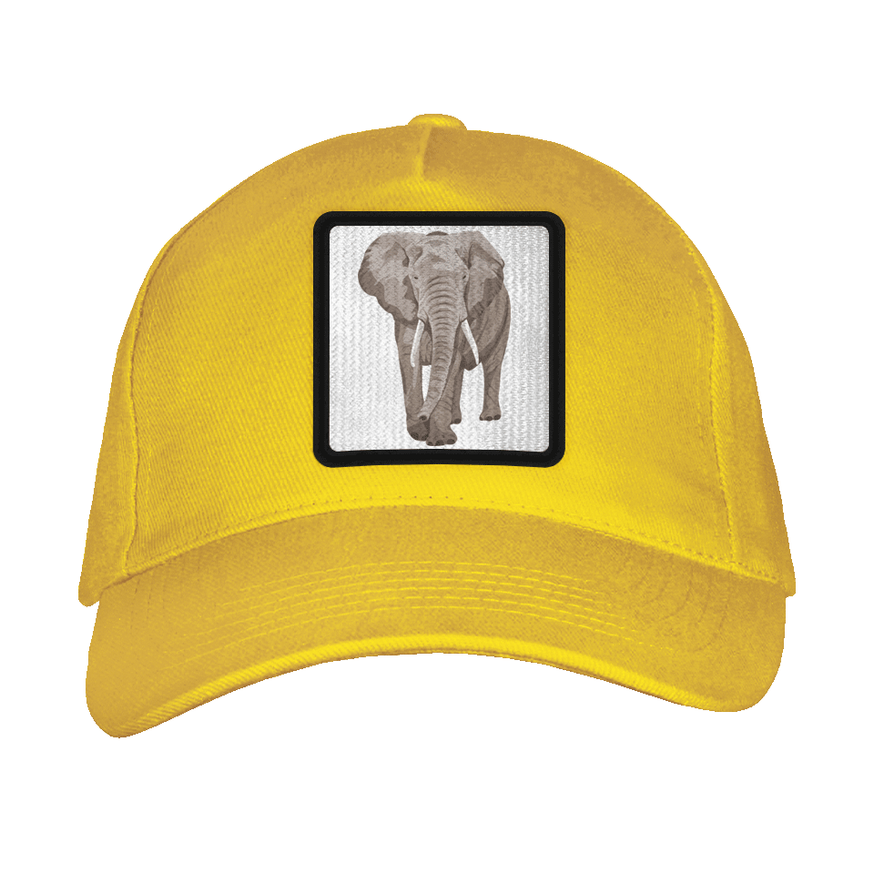 Gorra adulto con parche Elefante