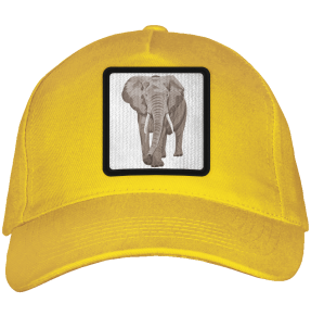 Gorra adulto con parche Elefante