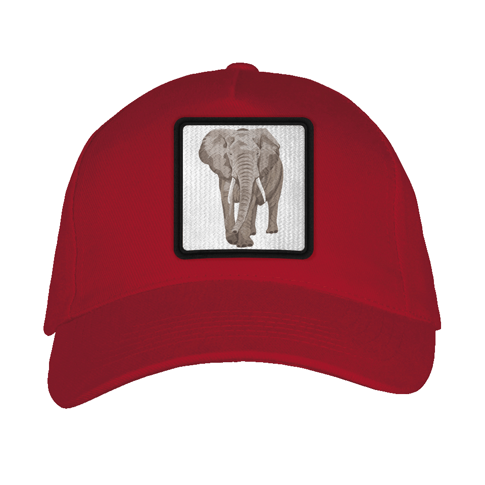 Gorra adulto con parche Elefante