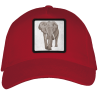 Gorra adulto con parche Elefante