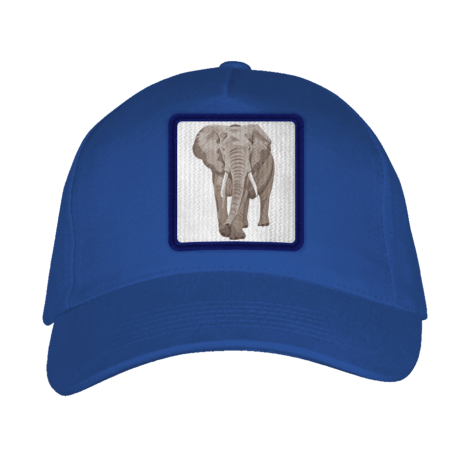 Gorra adulto con parche Elefante