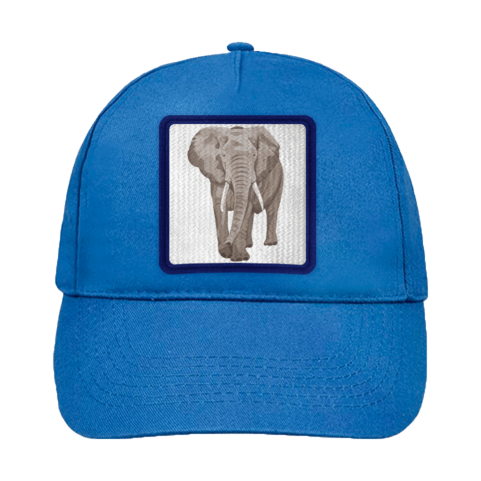 Gorra infantil con parche Elefante