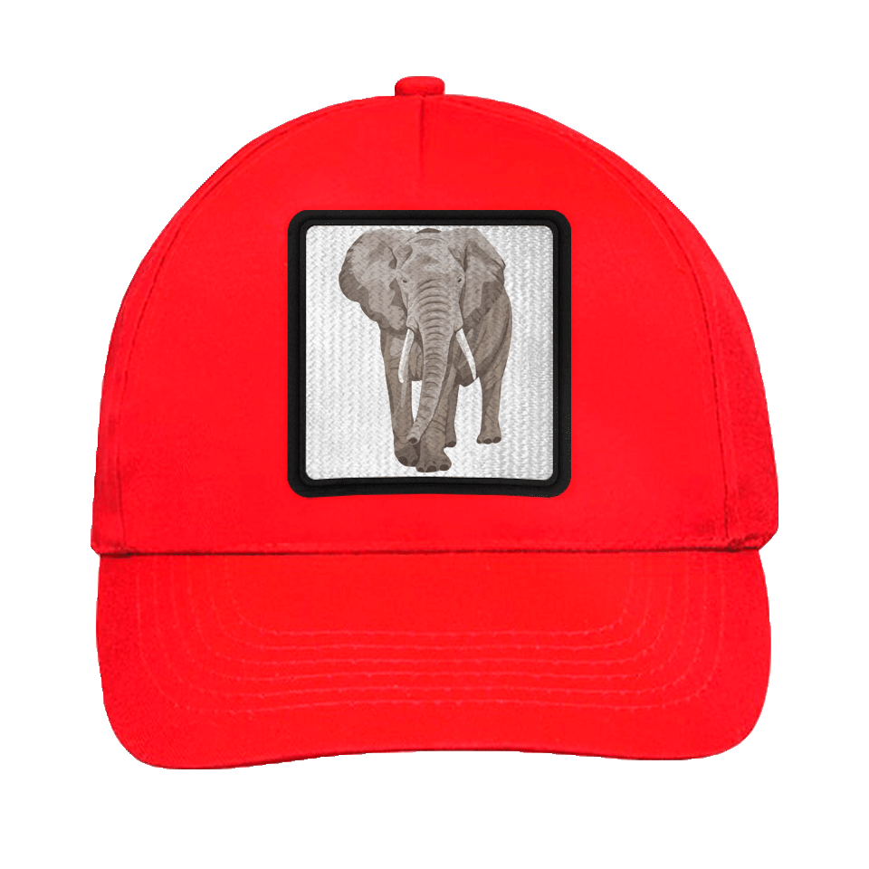 Gorra infantil con parche Elefante