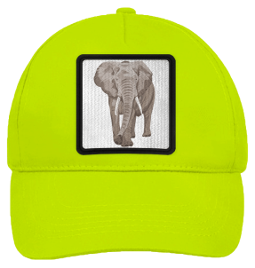 Gorra infantil con parche Elefante