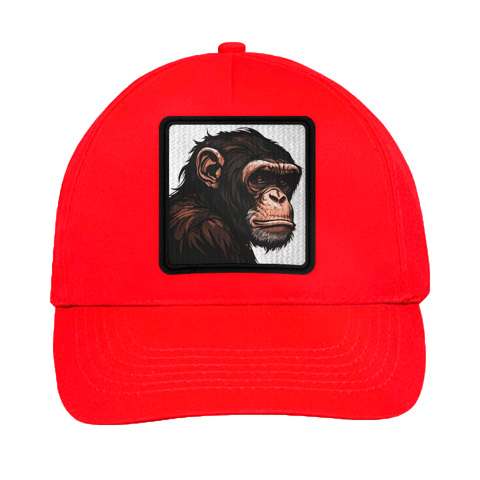 Gorra infantil con parche Simio