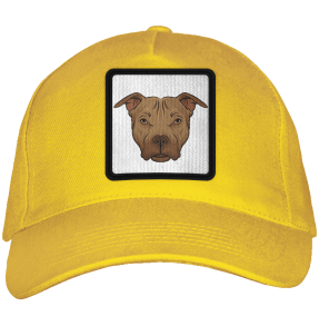 Gorra adulto con parche Pitbull