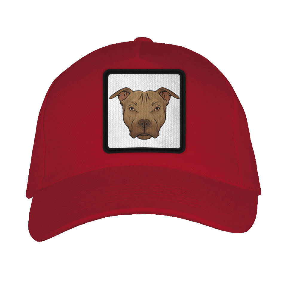 Gorra adulto con parche Pitbull