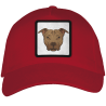 Gorra adulto con parche Pitbull