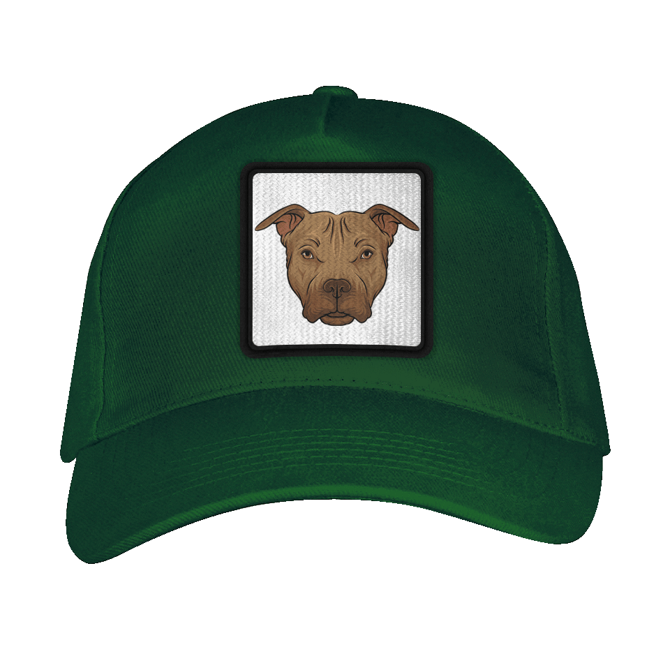 Gorra adulto con parche Pitbull