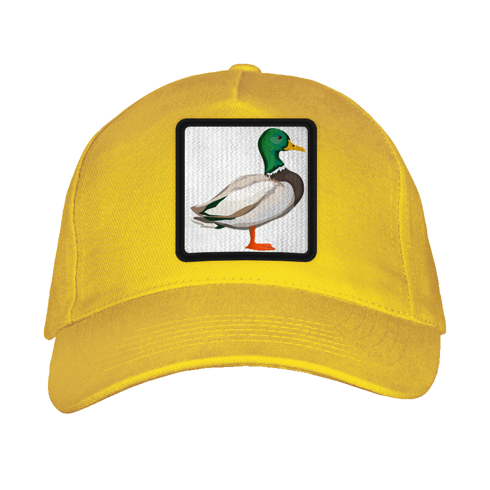 Gorra adulto con parche Pato